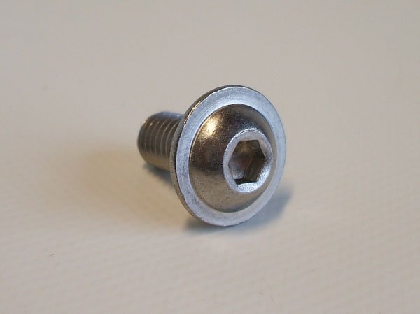 1x Linsenschraube m. Innen-6kt. und Flansch, 8x16mm Niro